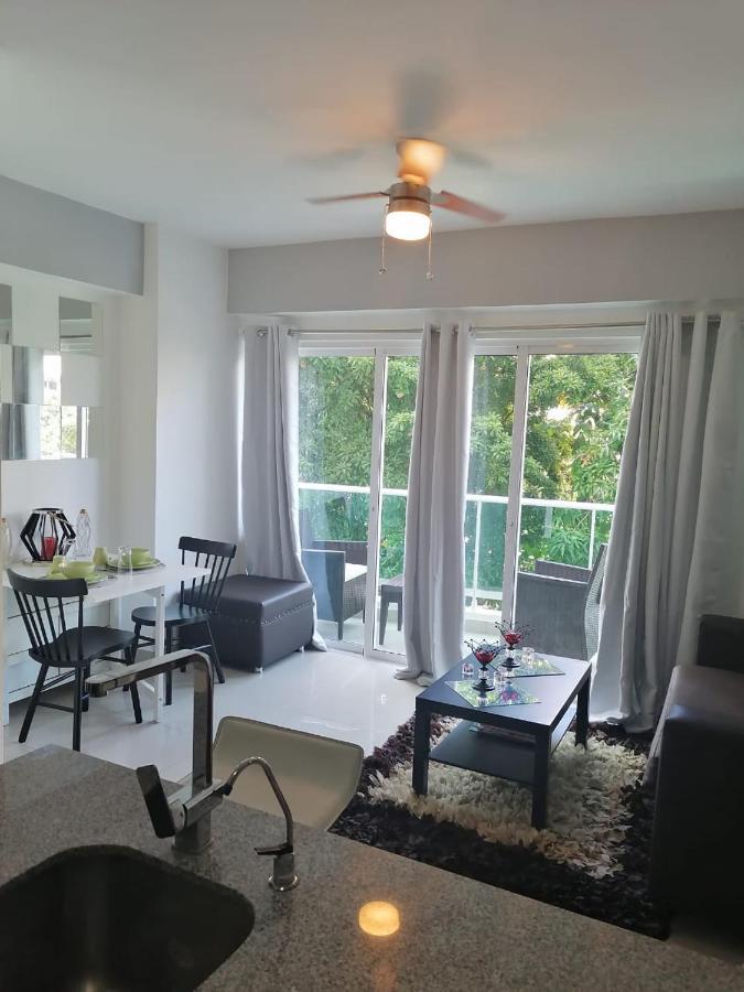 Armonia 408 Apartment In Gazcue サントドミンゴ エクステリア 写真